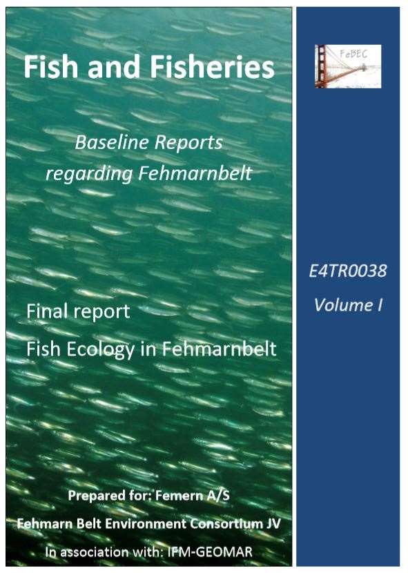 20.fish ecology in fehmarnbelt