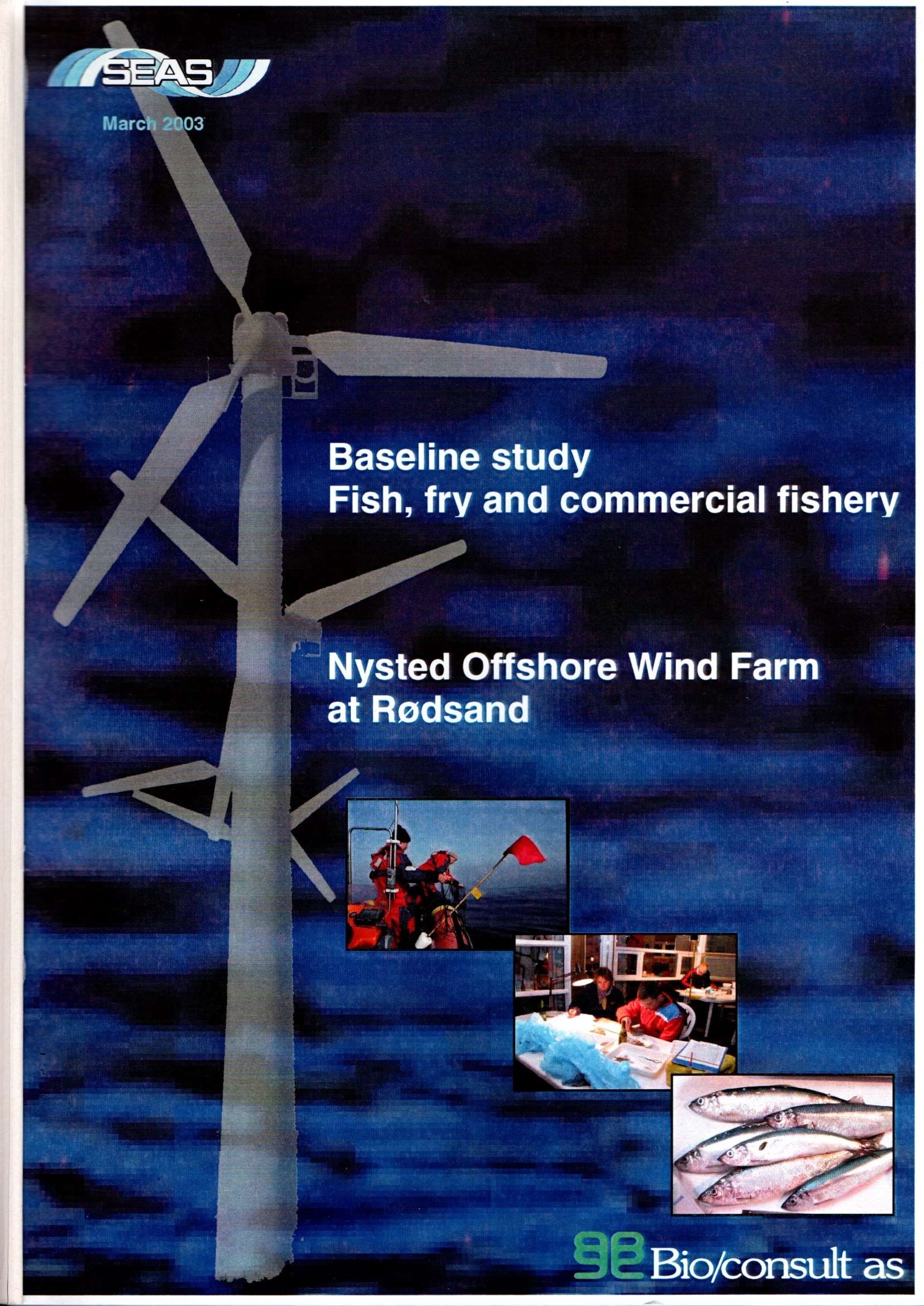 23.baseline study fish, fry and commercial fishery nysted offshore wind farm at rødsand status report