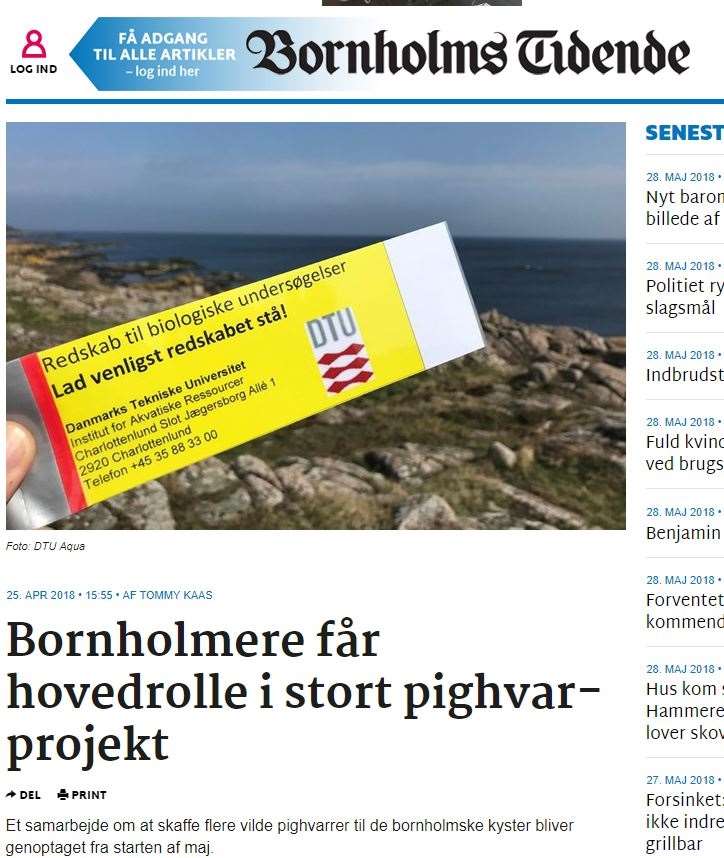 26_pighvar artikel i bornholms tidende 2018