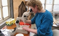 Kirsten counting plankton in China